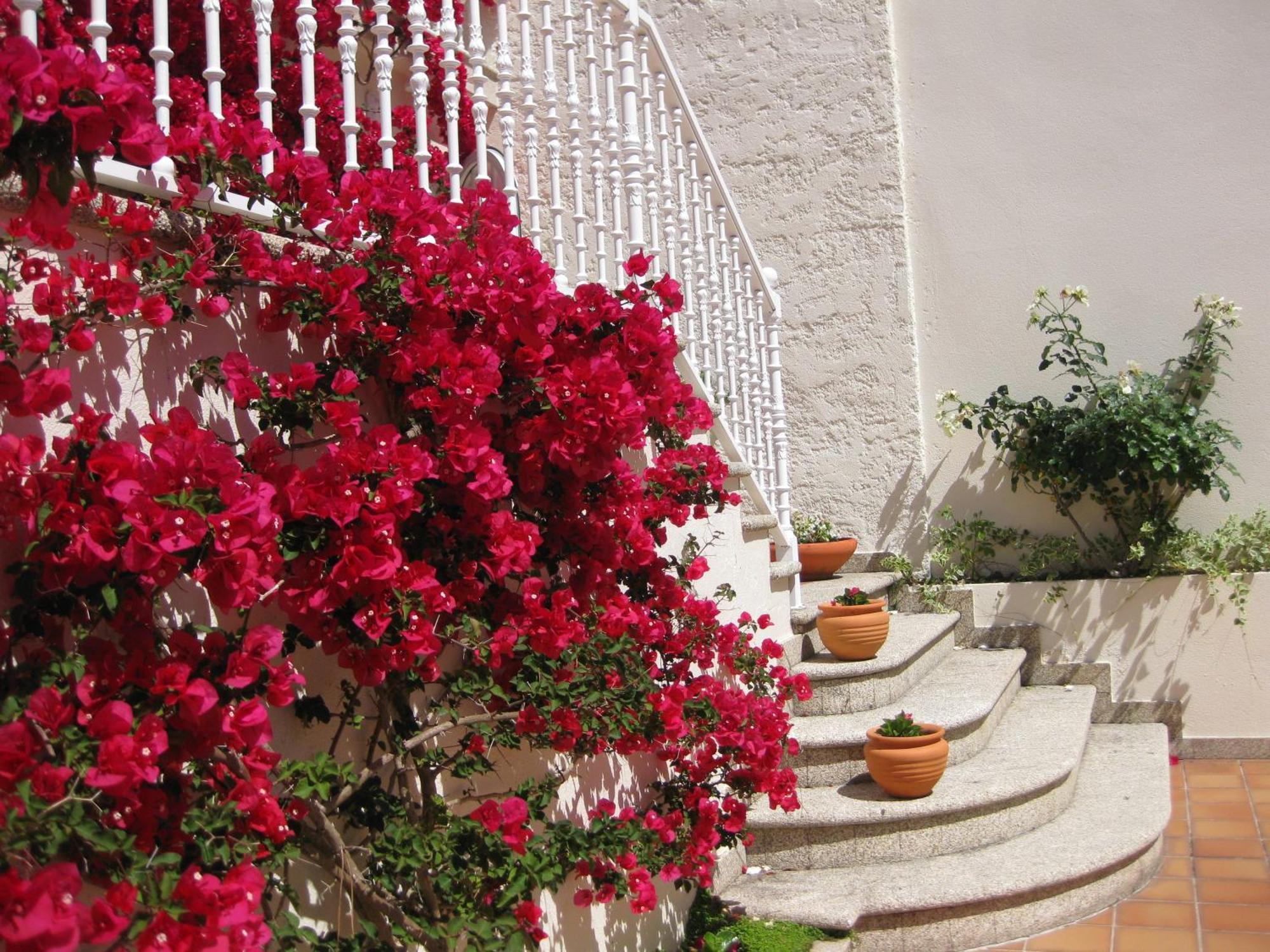 Apartamentos Maritimo Suites-Solo Adultos O Grove Exterior foto